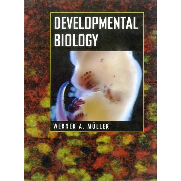 Developmental Neurobiology: 9780815344827: Medicine & Health